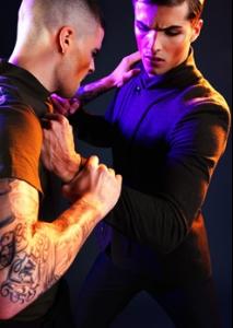 post-20251-0-74001600-1358540629_thumb.j