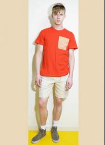 post-20251-0-91824600-1358672947_thumb.j