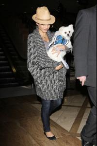 post-38290-0-34709900-1357572995_thumb.j