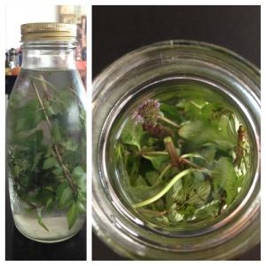 post-40981-0-61666700-1357508111_thumb.j