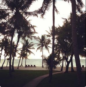 post-64572-0-00307700-1359477268_thumb.j