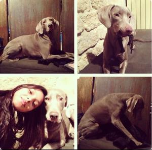 post-64572-0-19359300-1359335834_thumb.j