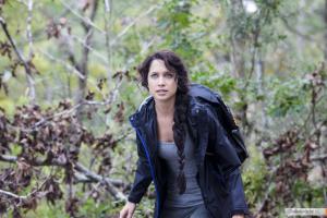 post-31427-0-65534700-1388830689_thumb.j