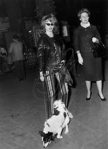 post-61825-0-02256700-1390006235_thumb.j