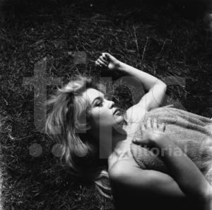 post-61825-0-27811600-1390006536_thumb.j