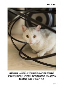 post-15092-0-13898700-1421610278_thumb.j