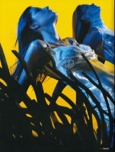 post-9023-0-81449400-1422332277_thumb.jp