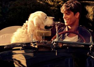 post-20251-0-37512300-1360347067_thumb.j