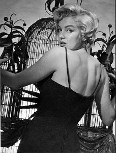 post-63450-0-10634000-1361706915_thumb.j