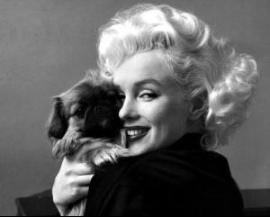 post-63450-0-21387400-1361706930_thumb.j