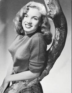 post-63450-0-42041700-1361706692_thumb.j