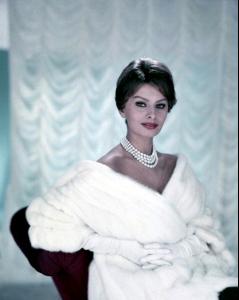 post-63450-0-79024800-1360435539_thumb.j