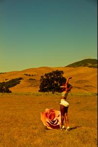 post-65198-0-64770600-1393346152_thumb.j