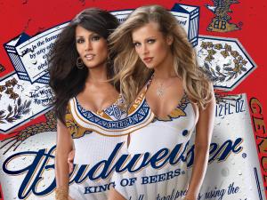 budweiserwallpaper13lrgfp8.jpg