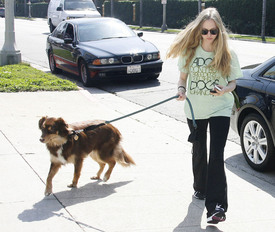 celebrity_paradise.com_TheElder_AmandaSeyfried2011_03_29_LeavingKinkosinWestHollywood6.jpg