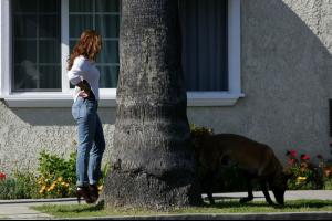 post-38290-0-90106100-1362950563_thumb.j