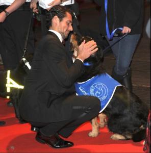 post-22656-0-97144100-1365499199_thumb.j