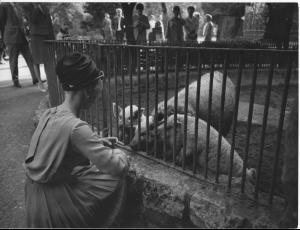 post-26918-0-30146200-1397330998_thumb.j