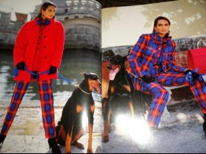 post-2758-0-15635200-1396967335_thumb.jp