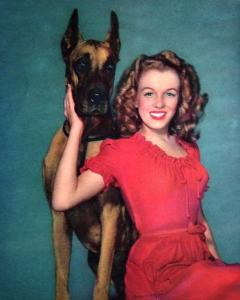 post-40923-0-26434400-1397915765_thumb.j