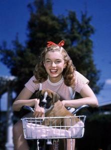 post-40923-0-72447300-1397916152_thumb.j