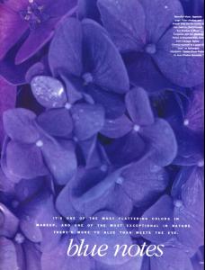 post-59683-0-24151800-1398606316_thumb.j