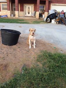 post-60413-0-06683900-1397941080_thumb.j