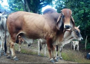 post-60413-0-13545700-1397940759_thumb.j