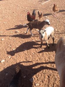 post-60413-0-19619400-1397940953_thumb.j