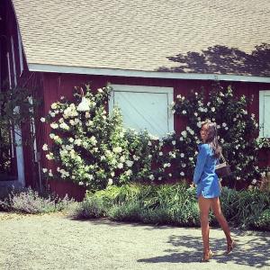 post-37343-0-43565400-1430157668_thumb.j