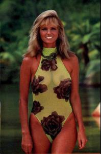 43488_cheryltiegs15_122_417lo.jpg