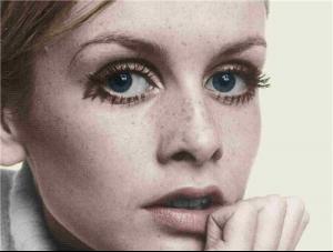 twiggy38.jpg