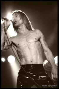 Iggy_Pop.jpg