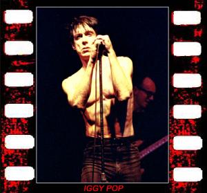 IGGY_POP.jpg