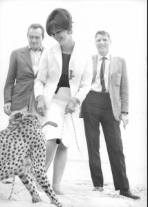 post-27165-0-29217600-1430596329_thumb.j