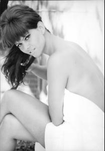 post-27165-0-95200300-1430597475_thumb.j