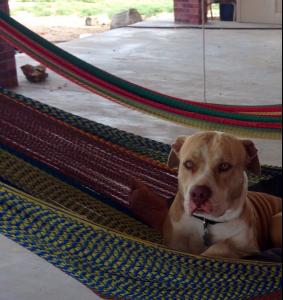 post-60413-0-16965100-1430594650_thumb.j