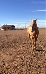 post-60413-0-37390800-1430594259_thumb.j