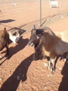 post-60413-0-95868100-1430593895_thumb.j