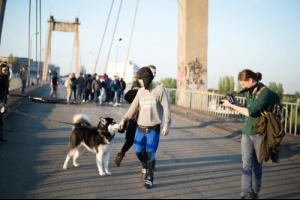 post-87508-0-74495700-1431504892_thumb.j