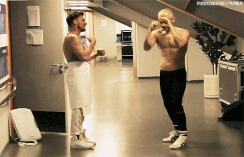 post-87508-0-77168100-1432029199_thumb.g