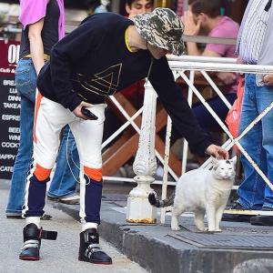 post-87508-0-96500800-1432193842_thumb.j