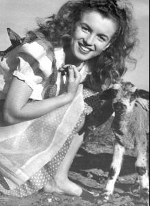 Marilyn_Monroe__591_.jpg