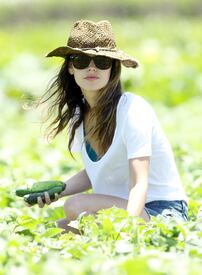 RachelBilson_UnderwoodFamilyFarm_Moorpark_260611_030.jpg