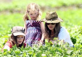 RachelBilson_UnderwoodFamilyFarm_Moorpark_260611_050.jpg
