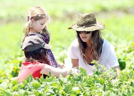 RachelBilson_UnderwoodFamilyFarm_Moorpark_260611_052.jpg