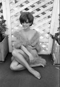 post-27165-0-82533100-1371764797_thumb.j