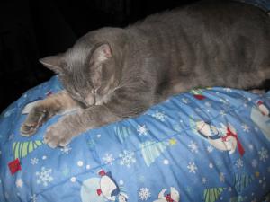 post-50747-0-37458600-1372596211_thumb.j