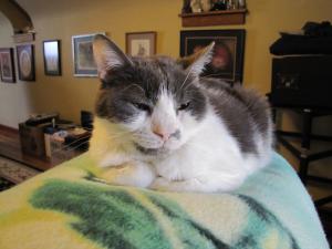 post-50747-0-88662400-1372596110_thumb.j