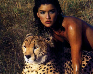 post-56105-0-07546000-1370462730_thumb.p